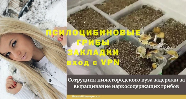 гашик Белоозёрский