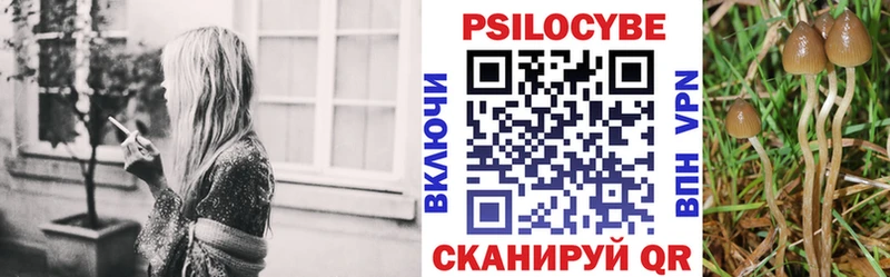 Псилоцибиновые грибы Psilocybe  Купить где  Новозыбков 
