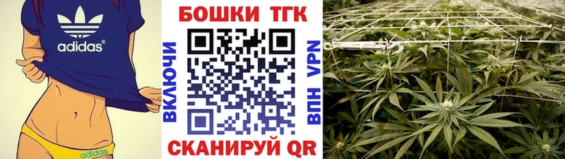 Купить закладки Новозыбков Бошки марихуана тримм
